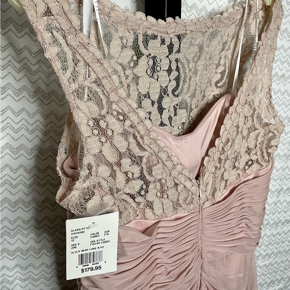 Sleeveless Long Mesh Dress with Corded Lace - Picture 4 of 12